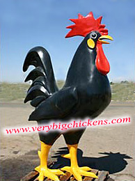 giant black chicken