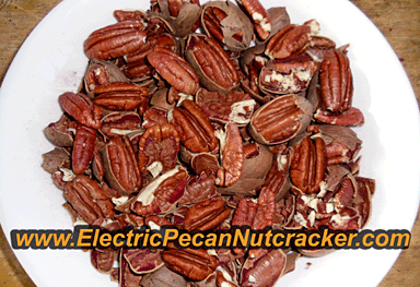 Electric Pecan nut cracker