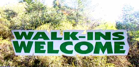 walk-ins welcome window word sign or decal