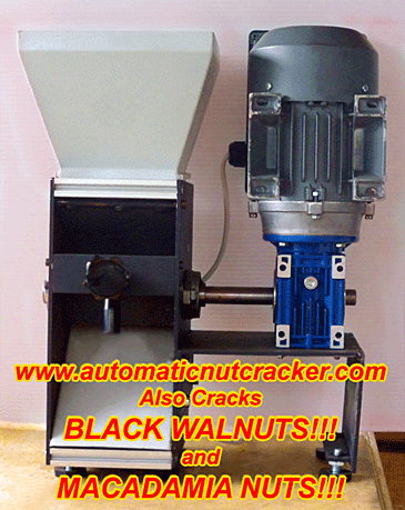 automatic heavy duty black walnut and macadamia nut cracker