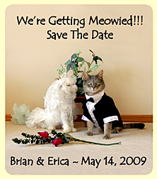 cat wedding magnet