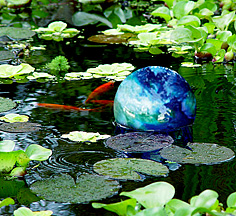 earth gazing ball in pond