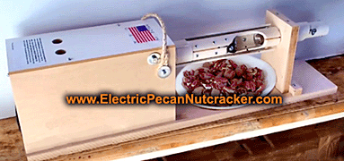 electric pecan cracker electric pecan cracker