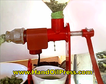Electric hand oil press