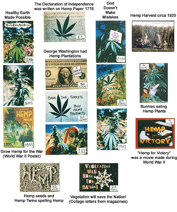 hemp magnets - Declaration of Independence