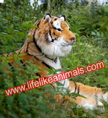 engal Tiger Stuffed Giant Lifesize Plush Jumbo