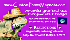 iguana business card