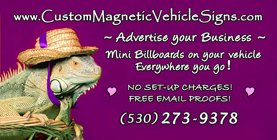 custom magnetic vehicle sign
