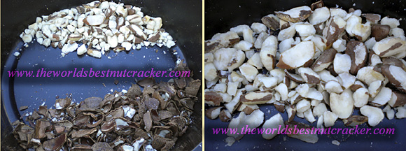 brazil nut cracker