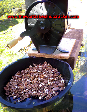 Easy Manual Pecan Nut Cracker Metal Nutcracker Walnut Sheller Heavy Duty AU 