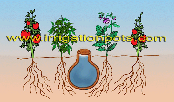 Irrigation Ollas - Clay Pots for Deep Seep Watering ~ Low