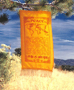 Peace in 90 Languages banner