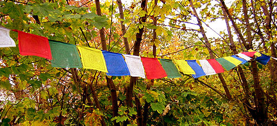 tibetan prayer flags