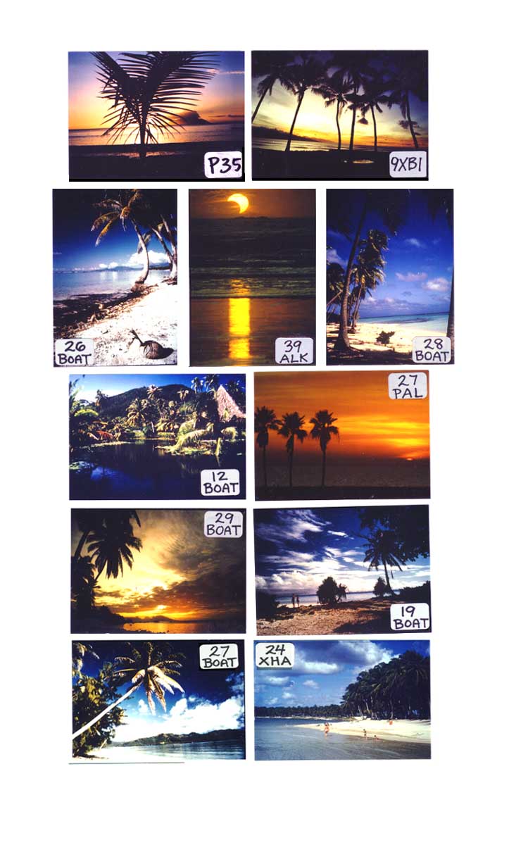 Tropical Scene Magnets