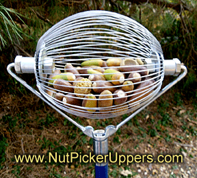 wire cage roller nut picker upper